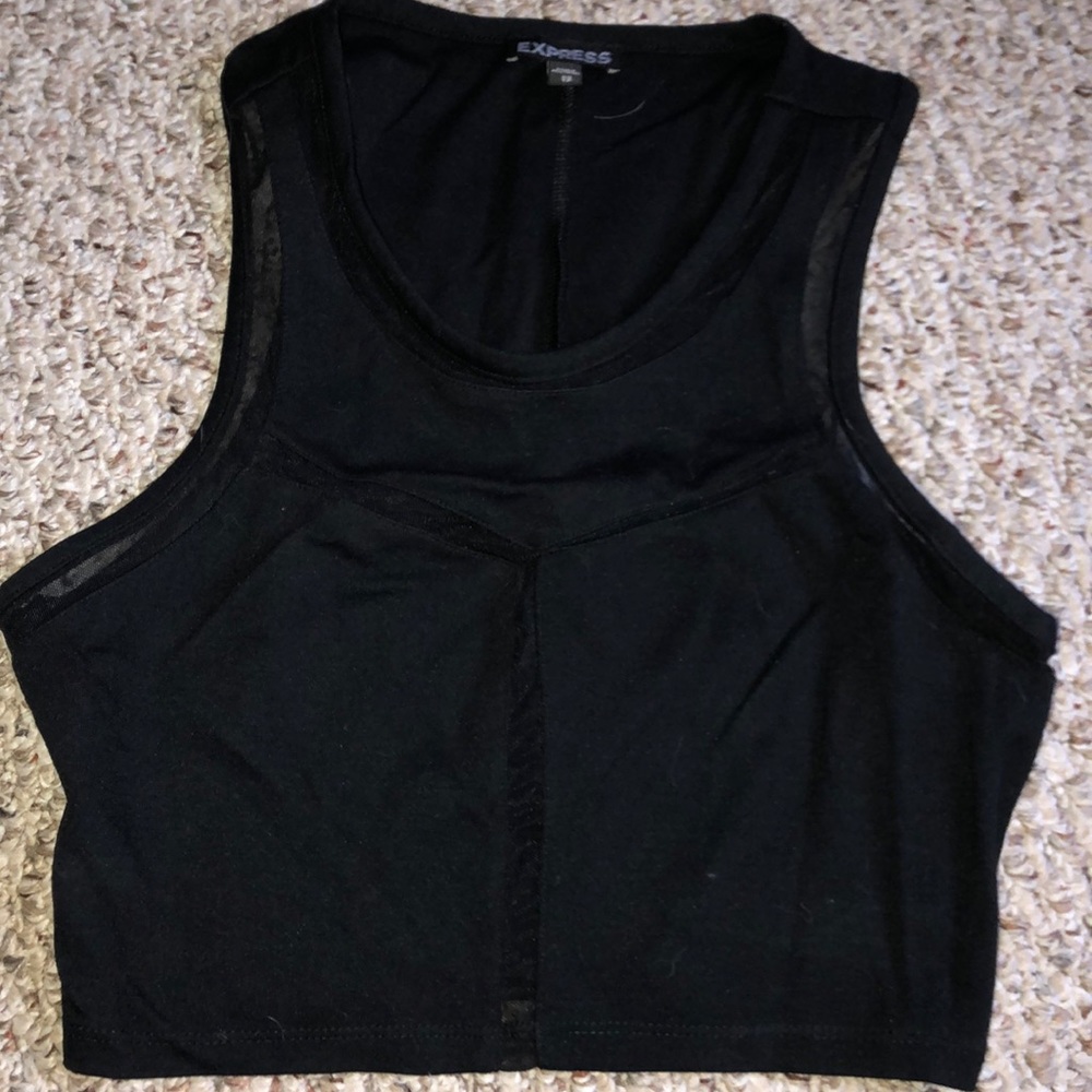 Express sheer panel crop top size XS